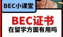 独家爆料网免费爆料在线观看 吃瓜网在线观看视频,揭秘娱乐圈幕后真相