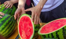 今日吃瓜贴,揭秘娱乐圈最新热点事件